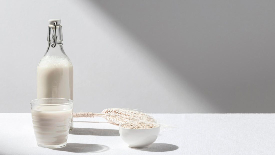 Is Oat Milk Gluten Free? Get the Inside Scoop